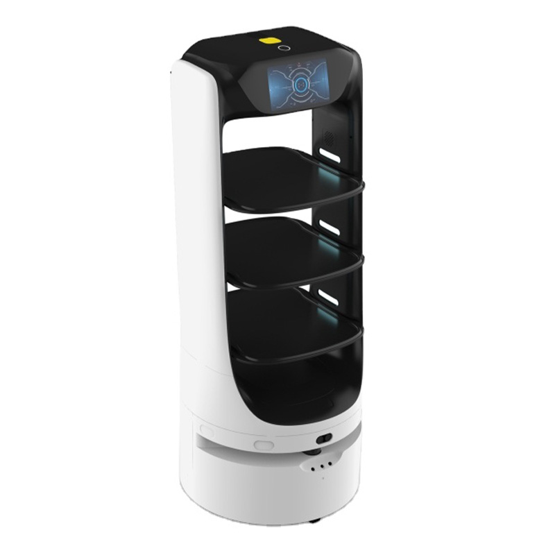 Food Delivery Robot
