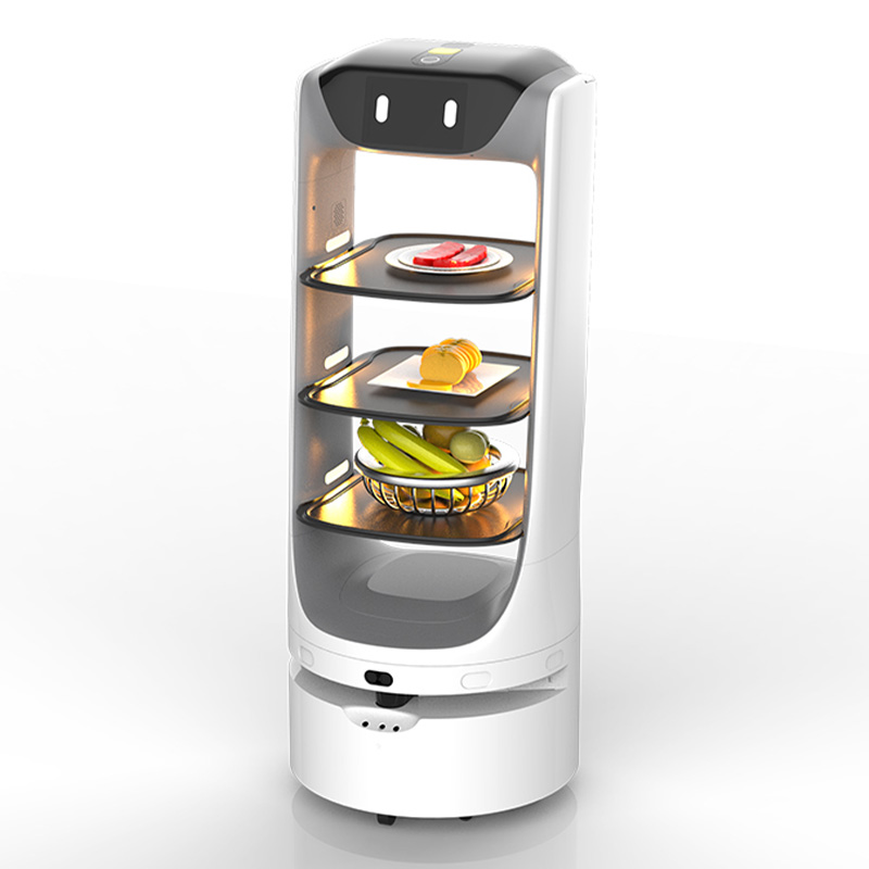 Food Delivery Robot