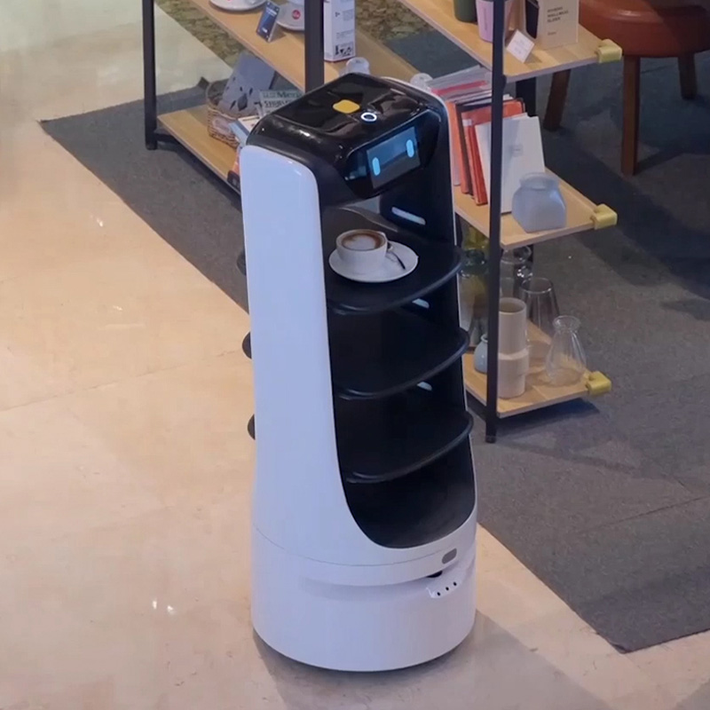 Food Delivery Robot